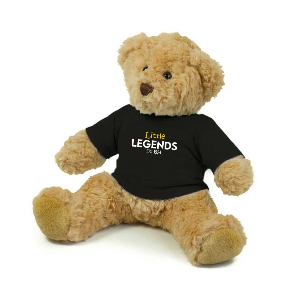 Little Legends Teddy Bear